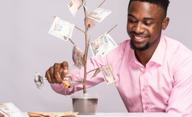 The Power of Passive Income in Nigeria: How to Set It Up and Build Wealth Over Time